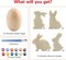 Easter Egg Painting Kit, 24pcs Wooden Eggs and Bunny for Easter Crafts Basket Stuffers Gifts for Kids Toddlers Boys Girls Ages 4-8 8-12 Birthday Party Favors Classroom Prizes DIY Decor